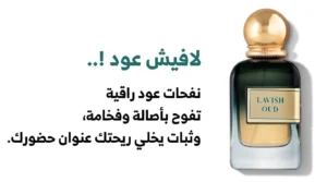 المسودة التلقائية